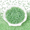 Transparent Glass Seed Beads SEED-N007-33A-05-2