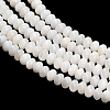 Natural Freshwater Shell Beads Strands SHEL-C010-04B-02-2