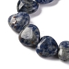 Natural Blue Spot Jasper Beads Strands G-I372-A13-02-4