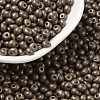 6/0 Glass Seed Beads X1-SEED-L011-08A-09-1