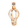 Alloy Bead Cage Pendants FIND-WH0097-32G-1