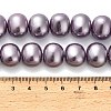 Shell Pearl Beads Strands BSHE-F013-01C-4