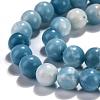 Natural Gemstone Beads Strands G-L367-01-8mm-5