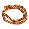 Natural Amber Beads Strands G-K387-E01-01-4