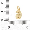 Brass Charms KK-G544-10G-06-3