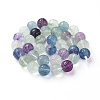 Carved Natural Fluorite Beads Strands G-L527-02A-3