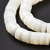 Natural Trochid Shell/Trochus Shell Beads Strands X-SSHEL-L016-13E-4