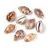 Electroplate Natural Sea Shell Pendants SSHEL-T018-05-1
