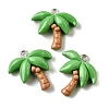 Summer Theme Resin Pendants LS-CRES-D307-09P-C-1