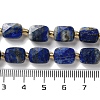 Natural Lapis Lazuli Beads Strands G-H061-A07-01-5