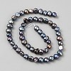 Dyed Natural Cultured Freshwater Pearl Beads Strands PEAR-WH0004-12-2