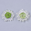 Transparent Clear Epoxy Resin Cabochons LS-CRES-N025-02C-2