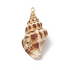 Natural Spiral Shell Pendants PALLOY-JF03316-01-3