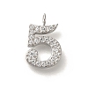 Ion Plating(IP) 304 Stainless Steel Micro Pave Cubic Zirconia Pendants STAS-H228-01P-05-1