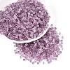 Transparent Inside Colours Glass Seed Beads SEED-T007-13J-3