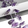 Natural Amethyst Beads Strands G-Q023-B02-01-2