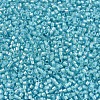MIYUKI Delica Beads SEED-JP0008-DB1708-2