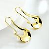 Elegant Fashion Brass Hoop Earrings EJEW-BB01519-3