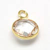 Golden Tone Brass Glass Flat Round Charms GLAA-M003-B-21G-2