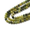 Natural Jade Beads Strands G-G189-D08-02-4