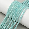 Natural Amazonite Beads Strands G-C201-A01-3mm-1