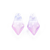 Mixed Style Glass Charms GLAA-S190-019-2