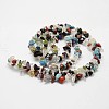 Natural Gemstone Beads Strands G-F328-26-3