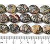 Natural Leopard Skin Jasper Beads Strands G-K365-B18-03-5