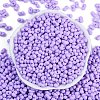 Baking Paint Glass Seed Beads SEED-K010-A05-3