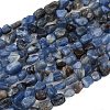 Natural Kyanite Beads Strands G-Q060-E17-2