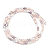 Electroplate Glass Beads Strands EGLA-D300-05-09-3