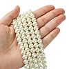 Eco-Friendly  Dyed Glass Pearl Round Beads Strands HY-A002-8mm-RB011-4