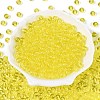 FGB Transparent Glass Seed Beads SEED-N013-01B-12-2