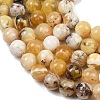 Natural Yellow Opal Beads Strands G-G992-A02-A-7