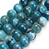 Natural Dragon Veins Agate Beads Strands GG-L001-L01-01G-2