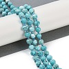 Dyed Natural Howlite Beads Strands G-H057-A18-01-2