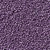 MIYUKI Delica Beads SEED-MY11-DB1173-3