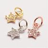 Brass Micro Pave Grade AAA Cubic Zirconia Charms ZIRC-G090-17-NR-1