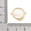Synthetic Turquoise & Natural Shell Brass Flat Round Links Connector Charms KK-N289-16G-02-3