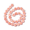 Natural Trochid Shell/Trochus Shell Beads SHEL-F004-13-2