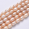 Natural Cultured Freshwater Pearl Beads Strands PEAR-N012-07G-2
