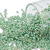 TOHO Round Seed Beads SEED-JPTR11-PF0570-1