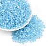 Glass Seed Beads SEED-N007-01D-1