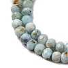 Natural Larimar Beads Strands G-F803-B01-02-4