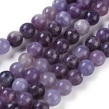 Natural Lepidolite/Purple Mica Stone Beads Strands G-E545-01A