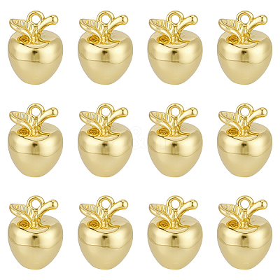 12Pcs Brass Charms KK-BC0015-09G-1