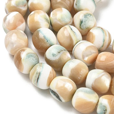 Natural Seashell Shell Beads Strands SH-CBAFEDD-01B-1