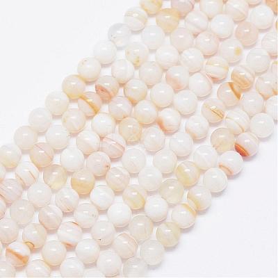 Natural Stripe Agate Beads Strands G-F425-19-1