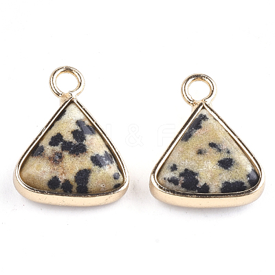 Natural Dalmatian Jasper Pendants X-G-S344-10B-1