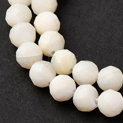 Shell Beads Strands SSHEL-E571-38-4mm-01-1